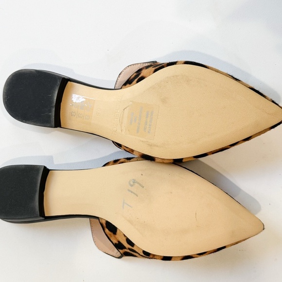 Rachel Zoe Natalie leopard print calf hair flat/ mule ❤️ - Picture 5 of 7